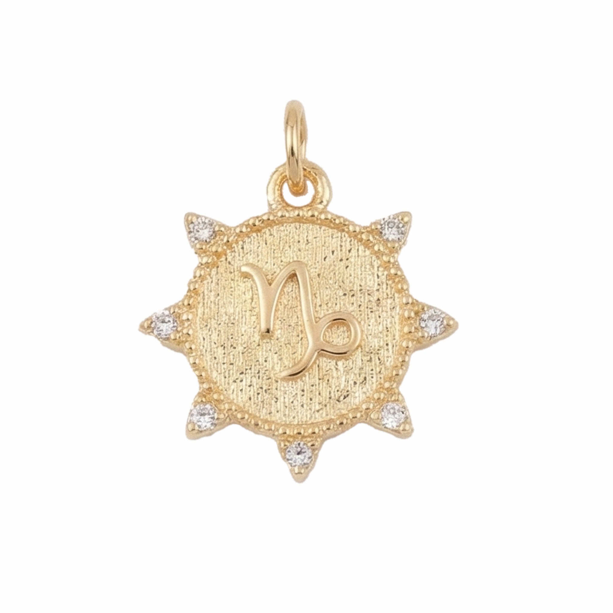 Zodiac Sign Necklace