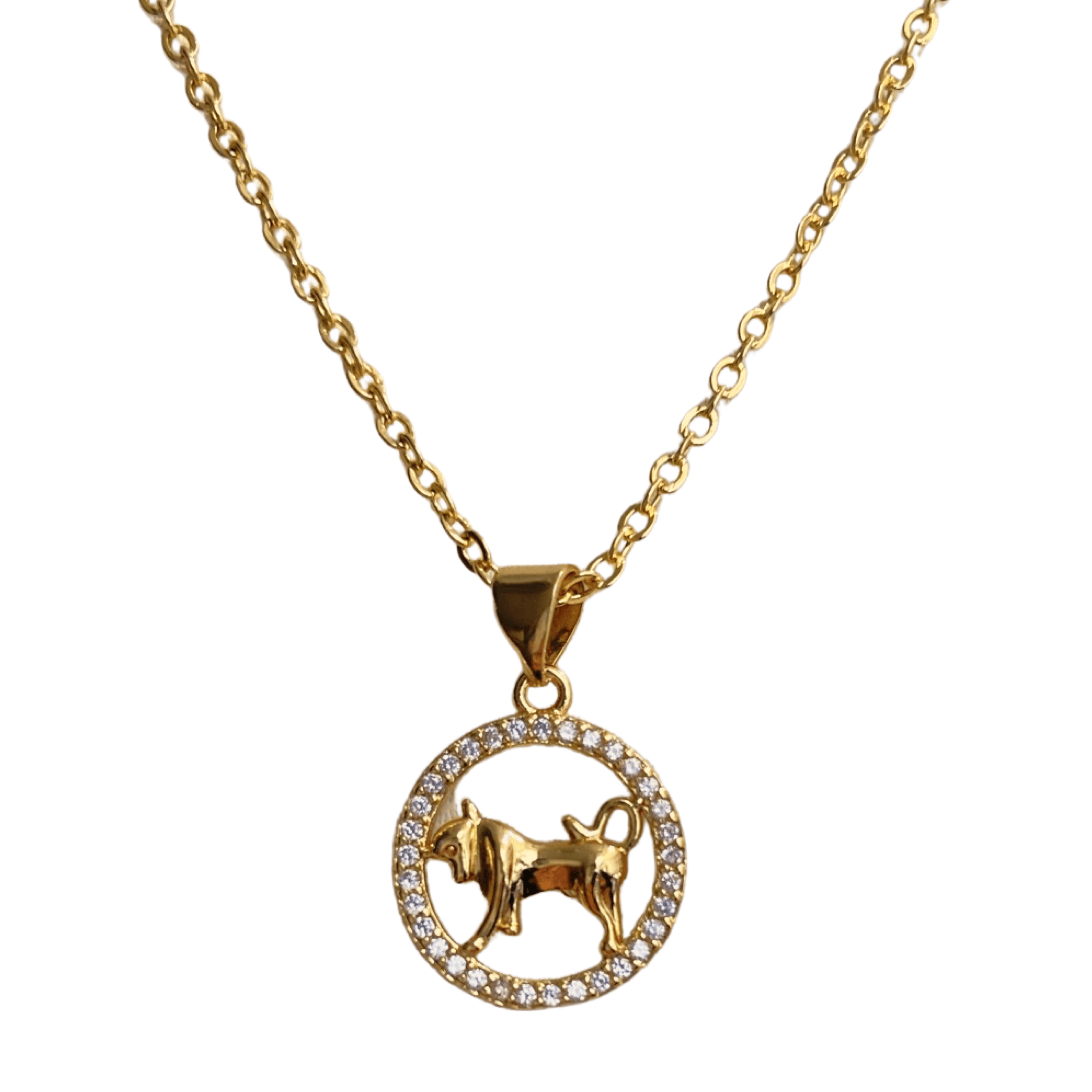 Zodiac Symbol Necklaces - Upakarna Jewelry