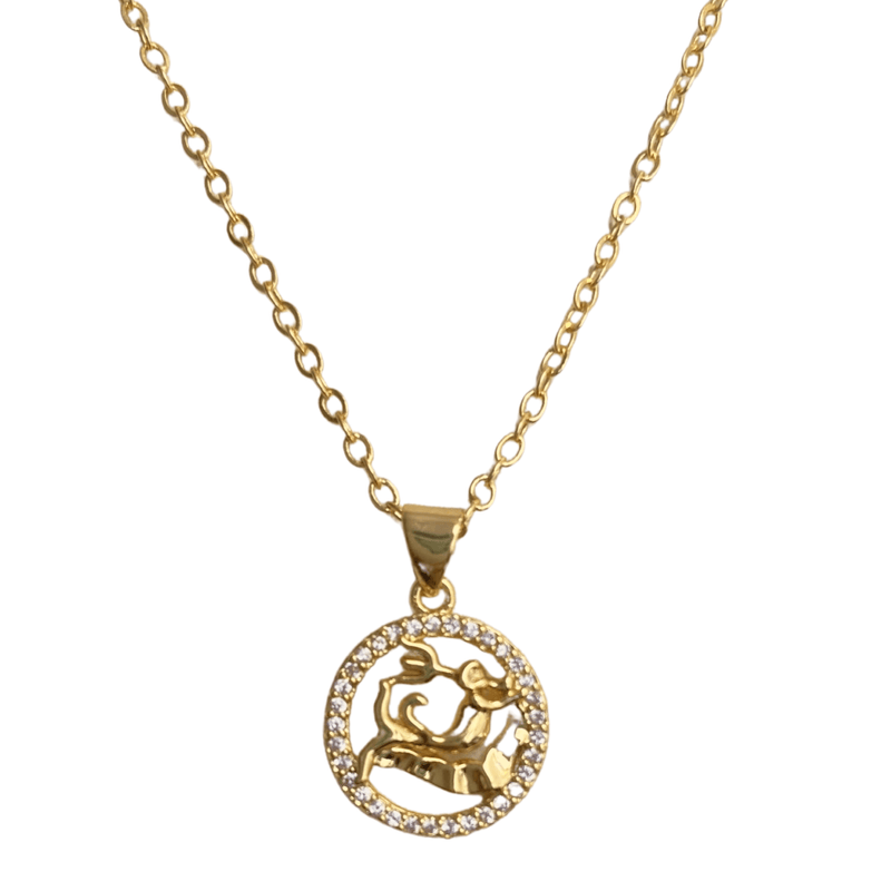 Zodiac Symbol Necklaces - Upakarna Zodiac Symbol Necklaces 5- Aquarius Aquarius Aries Cancer 15